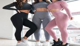 High 2020 New Waist Stretch Gym Leggings Seamless Shark Sports Leggings Running Sportswear Women Fitness Pants Yoga Pants Women9864219