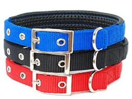 (40 Pieces/lot) Brand Updated Nylon Double Thickening Pet Dog Collar Square Buckle Dog Puppy Cat Collars5764364