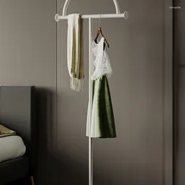 Decorative Plates Coat Rack Internet Celebrity Tiger Floor Hanger Vertical Small Household Bedroom Hanging Clothes