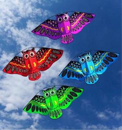 Funny Sports Flying Kite NEW 110cmx80cm Owl Ainimal Kite Single Line Breeze Outdoor Fun Sports For Kids Delta Kites8095557