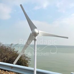 10000w 10kw Horizontal Wind Turbine Generator 12V 24V Free Energy Magnetic Dynamo Strong Power 220v Inverter Output For Home