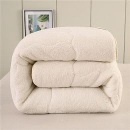 Double Thicken Quilt Very Warm Winter Duvet Lamb Cashmere Wool Quilt Thicken Blanket Comforters Core for Double Bed Queen