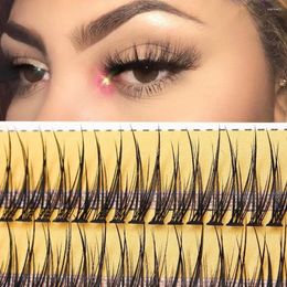 False Eyelashes 120 Clusters Grafting Natural Simulation C Curl Individual Cluster Mink Hair Curly Swallow Tail Tool