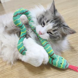 Catnip Toy Interactive Toy Plush Cat Toy Gluttonous Snake Bite-Resistant Molar Interactive Toy Gift For Cat Pet Accessories