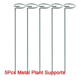 5 Pack Plant Support Stakes, 4mm Thick Garden Single Stem Flower Support Stake Amaryllis Plant Cage Support Rings