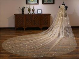 Shining Champagne Gold Wedding Veils 35M Cathedral Length Long Bridal Veil For Women Hair Wedding Accessories7173414