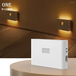 Wall Lamp LED Motion Sensing Contemporary Intelligence PIR Emergency NightLight Suitable For Stairs Bedrooms Doorways Lighting