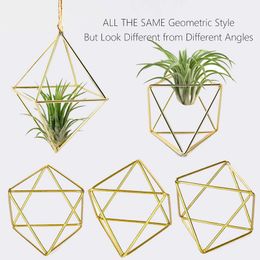 15 Packs Air Plant Holder Mini Metal Tabletop Himmeli Decor Modern Geometric Planter Tillandsia Air Fern Display Stand