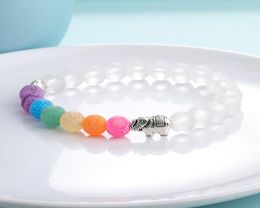 Men Women Elephant Charms 7 Chakra Bracelet Clear White Agate Colourful Wind Fossils Bead Bracelet Jewelry2234013