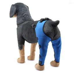 Dog Apparel Pet Supplies Double Leg Protector Post Injury