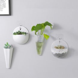 Storage Organiser Wall-mounted No Punching Levitating Plant Vase Flower Pot Hydroponic Vase Plant Container