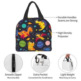 Dinosaur Lunch Bag Navy Blue Dino Lunch Box Insulated Reusable Portable Picnic Travel Bag Cute Animal Thermal Lunch Box for Work