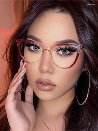 Sunglasses Frames Metal Cat Eye Glasses Frame Woman Fashion TR90 Brand Designer Trend Cateye Computer Eyewaer Gradient Colour Eyegalsses