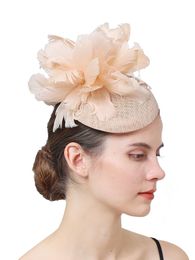 Feather Fascinator Phillbox Hat with Hair Clip, Elegant Banquet Wedding Ceremony Kentucky Derby Tea Party Headwear for Women