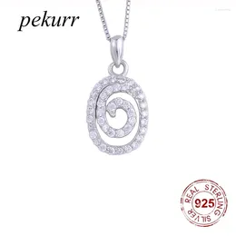 Pendants Pekurr 925 Sterling Silver Zircon Oval Round Whirl Spin Line Necklace For Women Crystal Geometry Fashion Jewelry