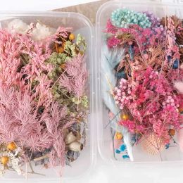 1 Box Mix Dried Flowers for Resin Jewellery Dry Plants Pressed Flowers Making Craft Dried Flowers Box for DIY Silicone Mold