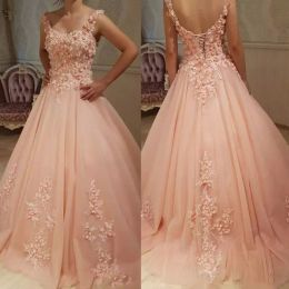 2024 Fashion Prom Dresses Lace Appliques Sleeveless Evening Gowns with 3d Flowers Lace-up Back A-Line Formal Party Dress