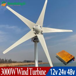 3000W Wind Turbine Generator 12V 24V 48V windmill power Generators With MPPT Charging Controller for Home Yacht Yard Roof