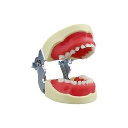 Dental Children Teeth Model Typodont Training Jaw Model With 24pcs Removable Resin Practice Tooth Dentist Student Teaching Tools