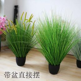 Decorative Flowers Simulation Of Reed Potted Bonsai Dog Tail Grass Onion Green