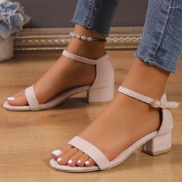 Dress Shoes Summer European And American Thick Heel Sandals Women's Slim Pink With Buckle Fashion Comfort Casual Large Size 42