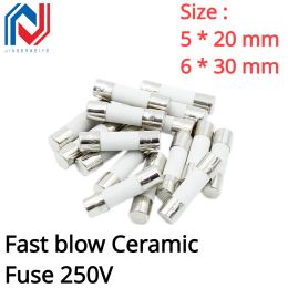 10PCS/lot 5*20MM/6*30MM Fast blow Ceramic Fuse 250V 0.1A 0.25A 0.5A 1A 1.5A 2A 2.5A 3A 3.15A 4A 5A 6A 6.3A 8A 10A 15A 16A 20A