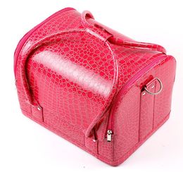 Cosmetic Case Makeup Train Case 1pcslot 5 Colours Bags Women Pink Tote Bag Make Up Organiser Multifunctional5164378