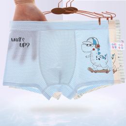 Shorts Children's Underwear for Kids Cartoon Shorts Soft Cotton Underpants Boys Panties Dinosaurs Pattern 5Pcs/lot