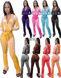 Women Velour Tracksuits Hoodie Sport Two Piece Outfits Pink Velvet Sweatsuits Zipper Pocket Long Sleeve Jacket Bell Wid Leg Pant S8426084