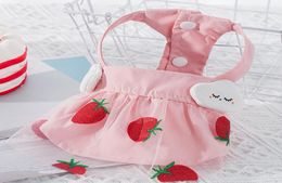 Pet Dog Apparel Cat Strawberry Princess Dresses Thin Sweet Dress for Small Girl Dog Cute Pet Skirt Puppy Clothes4617499