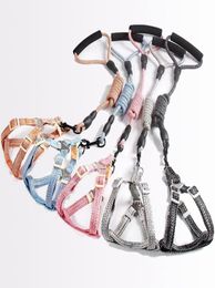 Dog Harnesses And Dog Leashes Strong Durable Adjustable Fashion Flax Belt Morandi Lead Traction Rope Leash Walking Dogs Pet Dog Ca2091533