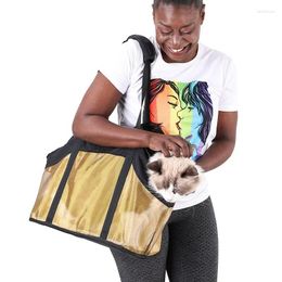 Cat Carriers Fashion Travel Bag Small Dog Chihuahua Teddy Carrying Handbag Portable Breathable Puppy Backpack Built-in Traction Rope