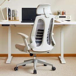 Ergonomic Desk Chair Nordic Armchair Relax Modern Office Chair Designer Executive Cadeira De Escritorio Office Furniture DWH