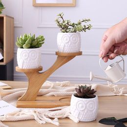 QX2E Owl Pot Succulent Cactus Planter Flowerpot Set With Bamboo Shelf Tray Decor