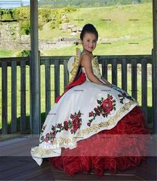 Ball Gown embroidery flower Children Princess Dress Beauty Pageant Dress Puffy Flower Girl Birthday Dress Pography Dresses2559322