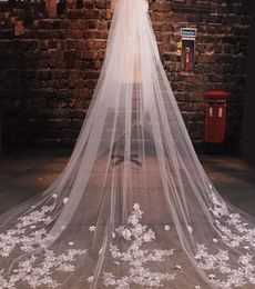 Luxury Cathedral Wedding Veils Appliques Flowers Handmade Tulle Bridal Veils With Comb Long Veils For Brides 3 Metre veil4827035