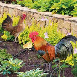 Garden Decorations Decor Decorative Inserts Lawn Decoration Rooster Accessory Outdoor Adornment Stakes Backyard Hen Ornament