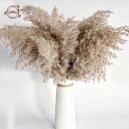 Decorative Flowers Natural Fluffy Pampas Dried Wedding Decoration Garden Decor Christmas Home Table Accessories Artificial Plant