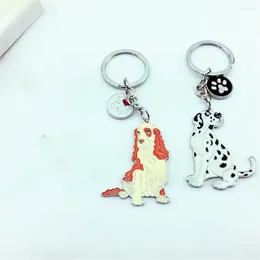 Keychains Funny Gift Bag Pendant Cute Decorative Key Hook Metal Dog Tag Keychain Keyring