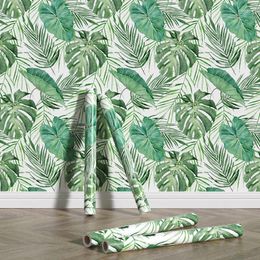 Wallpapers Wallpaper Home Decoration White Peel And Stick Pvc Self Adhesive Removable Scratch Resistant Durable Tropical Leaf