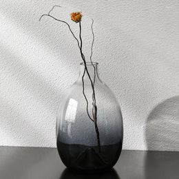 Vases Big Belly Vase Transparent Gradual Glass Flower Pot Living Room Light Luxury Tabletop Decoration Creative Modern Decor