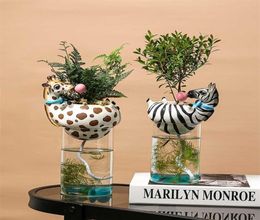 Resin Animal Head Vase with Fish Tank Bubble Natural Cactus Succulent Plants Flower Pots Decoration Zebra Giraffe Creative Craft 25181958