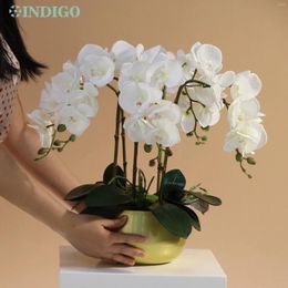 Decorative Flowers White Moth Orchid (1 Set DIY) Flower Arrangment (5PCS Moss 3PCS Leaves Pot) Butterfly Decoration Centerpiece