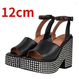 Dress Shoes Europe/American Silver Rivet Decoration Design For Women Increased 12cm Spring/Summer Thick Soled High Heel Sandals Female