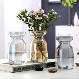 Vases Nordic Luxury Simple Wide-mouth Transparent Glass High-grade Vase Home Living Room Hydroponic Flower Arrangement Ornaments