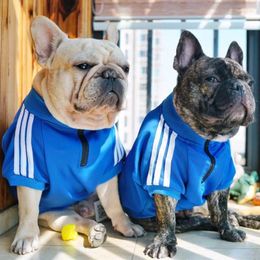 Dog Apparel Fashion Clothing Pet Clothes Ropa Perro Costume Para For Small Dogs Coat Bluza Dla Psa Sudadera Jersey Sweatshirt