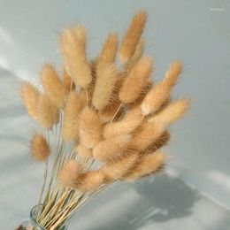 Decorative Flowers Lagurus Ovatus Natural Dried Tail Grass Wedding Home Easter Decorations Laytail Flower Accessories Props Pampas
