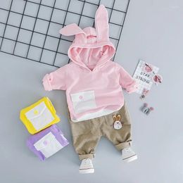 Clothing Sets Baby Girls Cartoon Hooded Pullover Sweatshirt Pants 2 Pieces Suit Children Clothes Toddler Infant Kids Costume