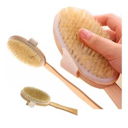 Bath Brushes, Sponges & Scrubbers Long Detachable Brush Dry Skin Body Non-Slip Handle 100% Natural Bristle Shower Blood Circation Exfo Dhz5D