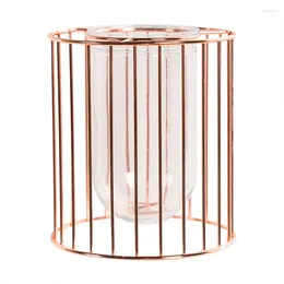 Vases Art Aesthetic Family Decoration Flowerpot Iron Vase Rose Gold Hanging Tube Nordic Office Tabletop